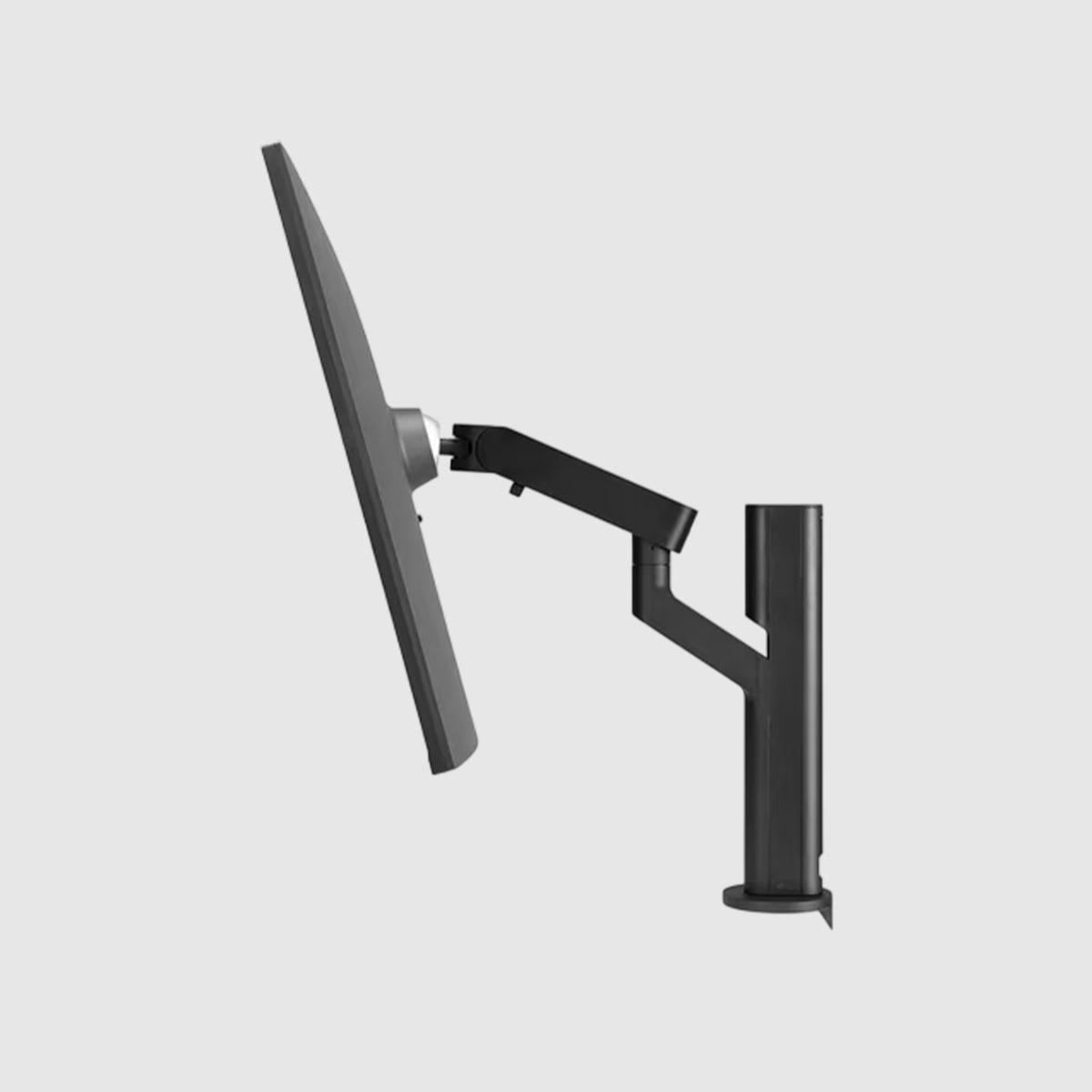 LG 28" Dual Up Monitor